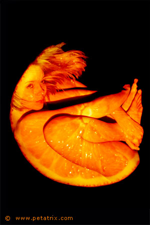 Petatrix orange femme.jpg