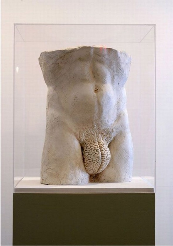 cerveau-homme-sexe.jpg