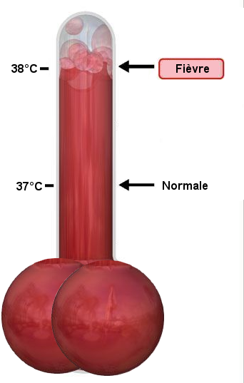 Thermometre_fievre deux.png