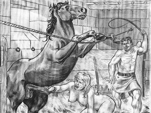 Cheval coquin.jpg