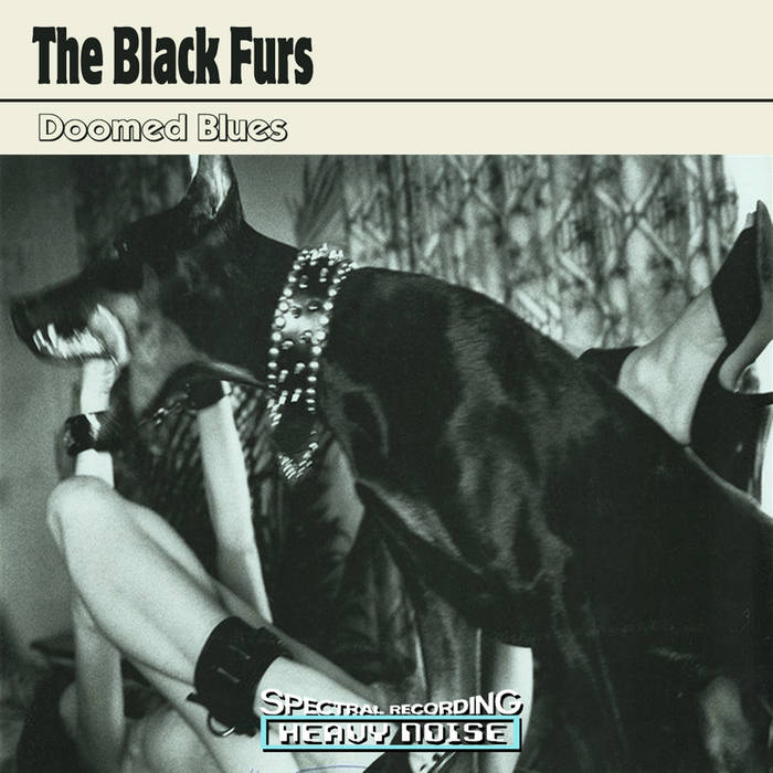 The Black Furs.jpg