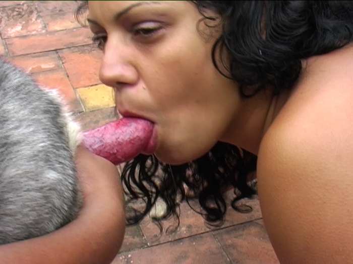 zoo_zzo23.jpg