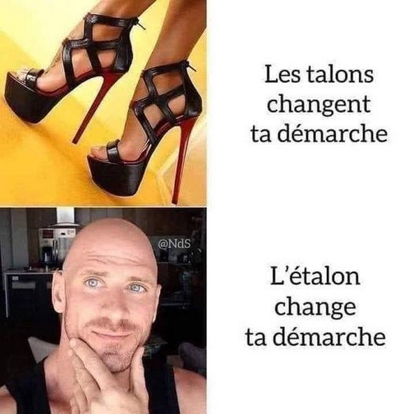 Etalon.jpg