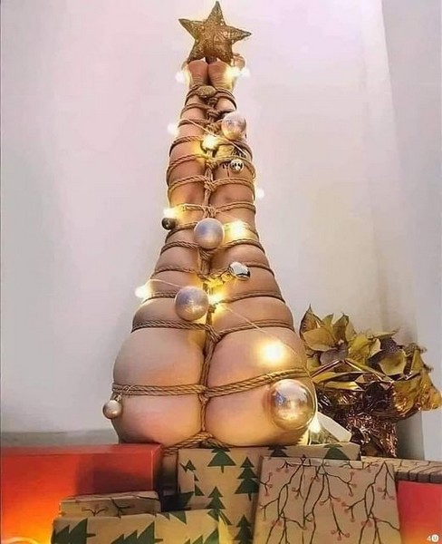 Sapin de noel.jpg