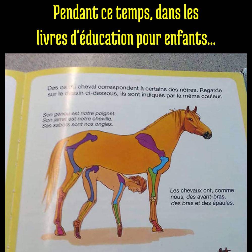 FB_IMG_1747585904542.jpg