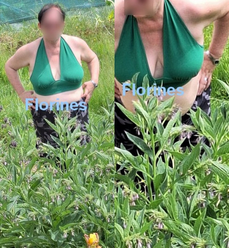 Brassiere.jpg