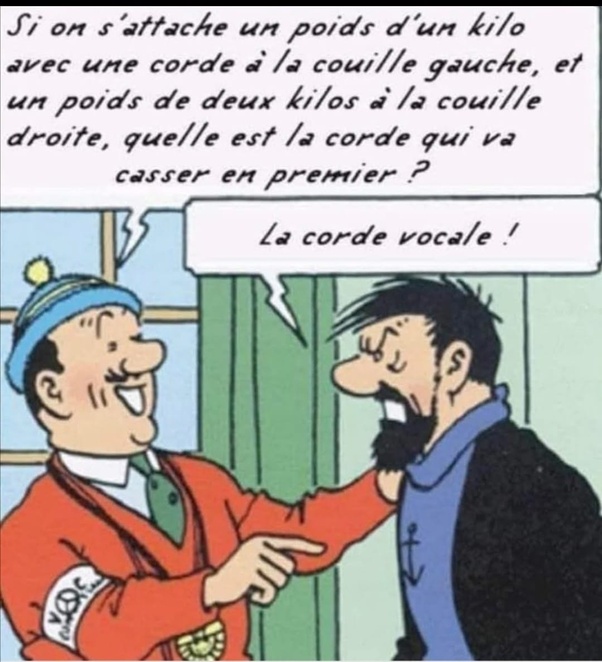 haddock couilles.jpg