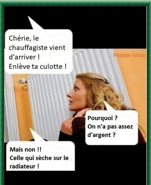 Culotte.jpg