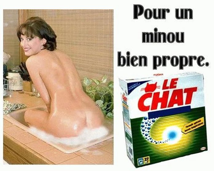 le_chat.jpg
