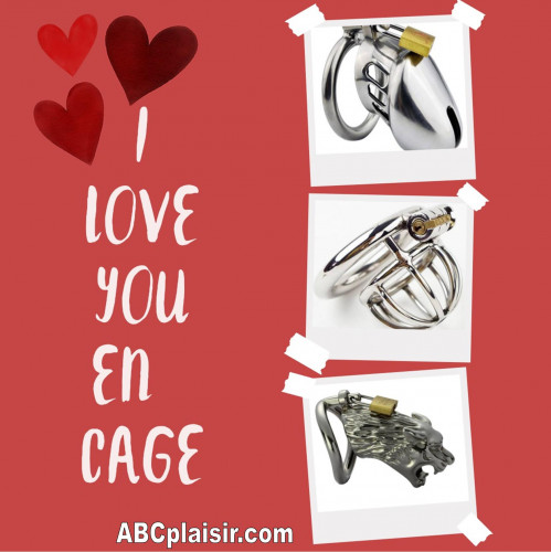 Cage de chastete (1).jpg