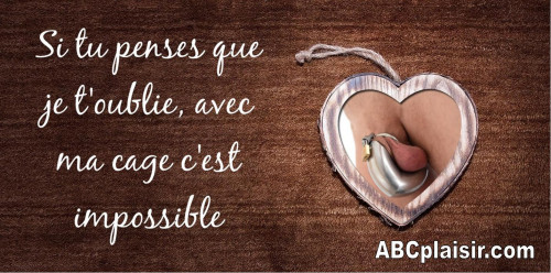 cage de chastete cb coude.jpg