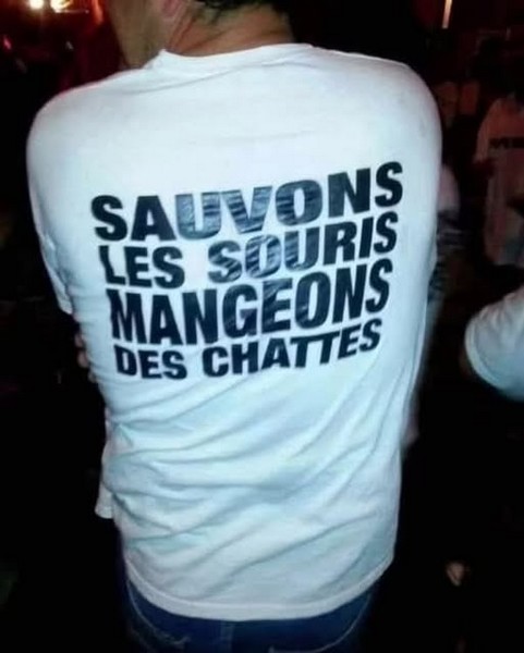 Sauvons les souris..jpg