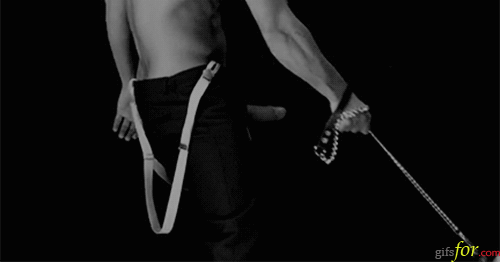 Laisse.gif