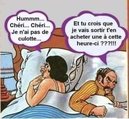 culotte.jpg