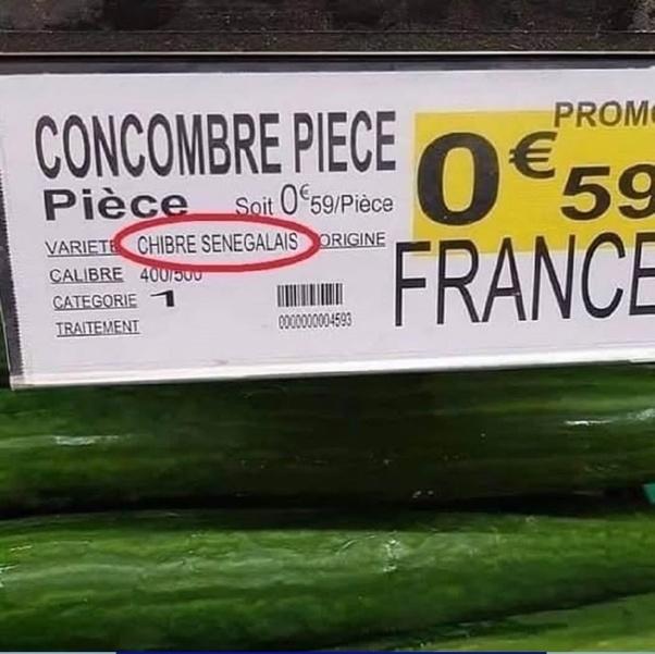 Concombre.jpg