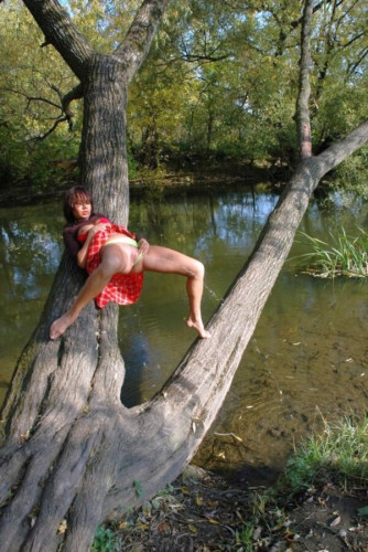 tree-for-pee.jpg