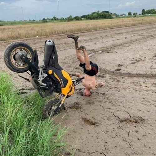 mudd-fall.jpg