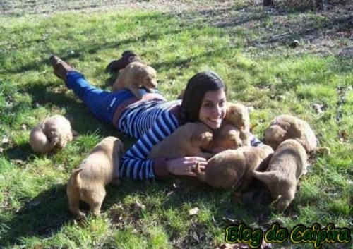 Chiot lubrique.jpg
