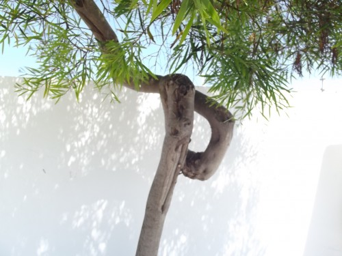 Eté 2012 +Bouddah Eden 012.JPG