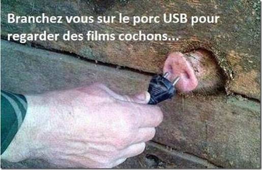 Porc USB.jpg