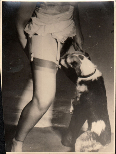 Animaux femme2.jpg