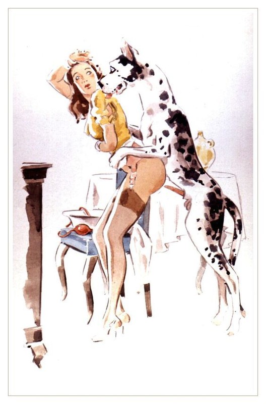 Dessin zoo.jpg