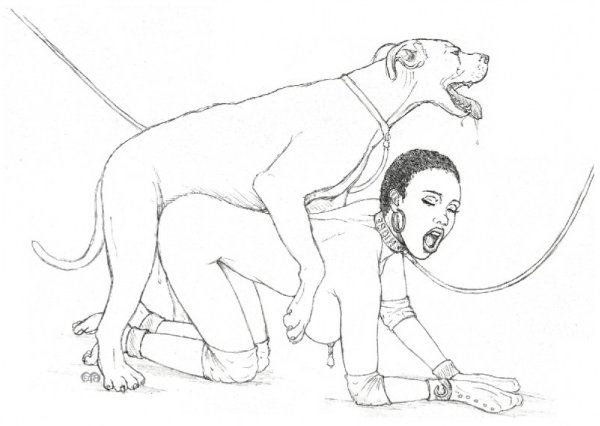 zoo6destrasbourd.jpg