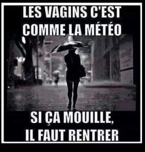 humour-adulte.jpeg