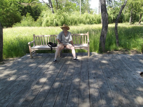 Banc.jpg