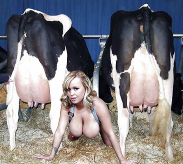 Femmes animaux.jpg