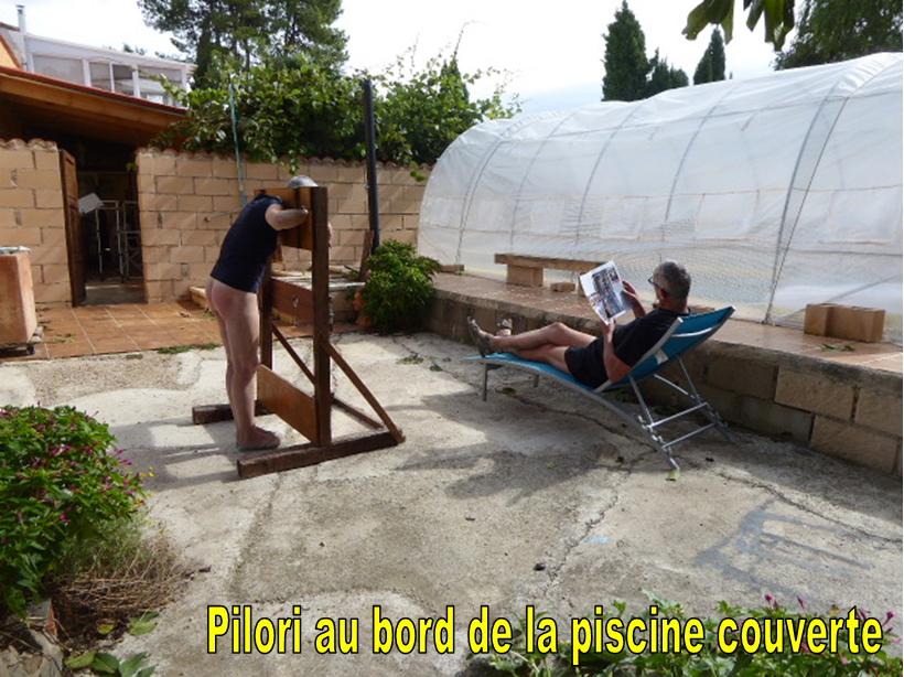 Pilori au bord de la piscine couverte.jpg