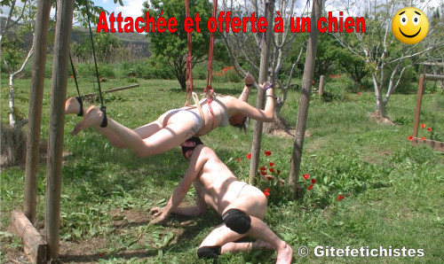 Attachée et offerte à un chien.jpg