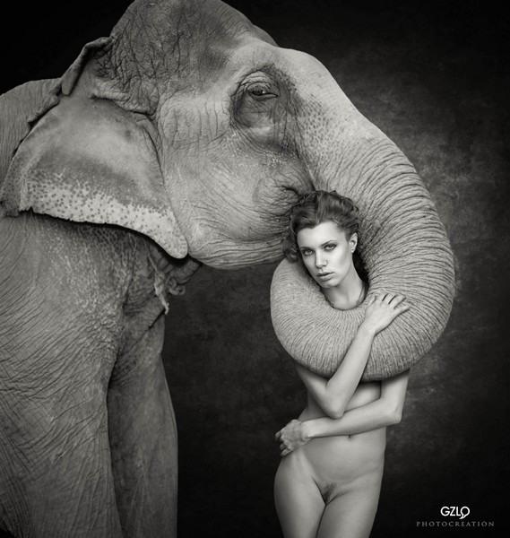 Animaux.jpg