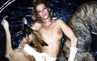 Brigitte Lahaie.jpg