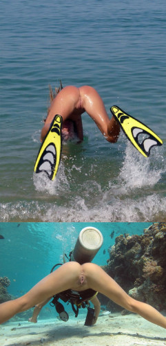 public-proper-dive.jpg
