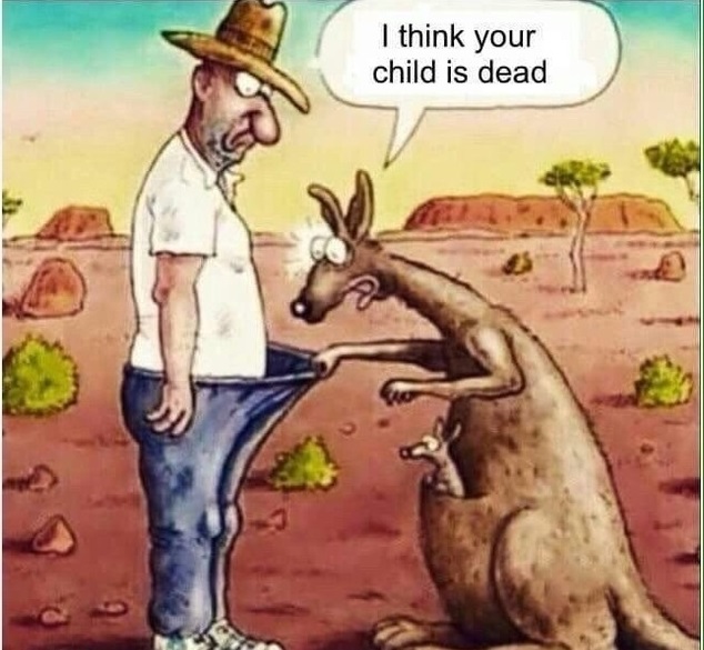 kangaroo.jpg