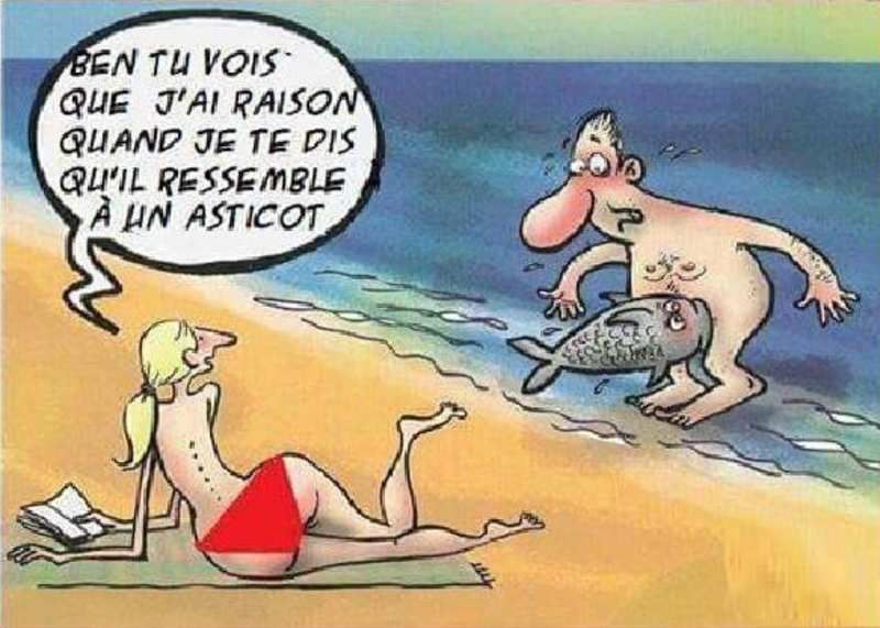 asticot.jpg