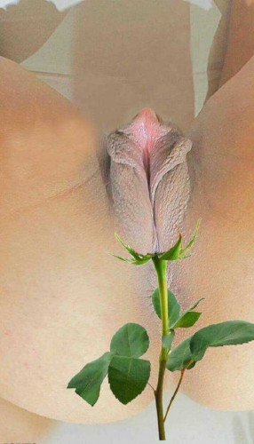 simple-flower.jpg