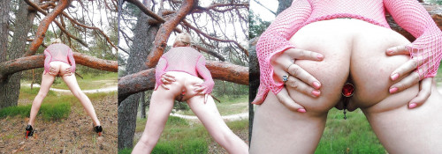 Rosebud-on-trees.jpg