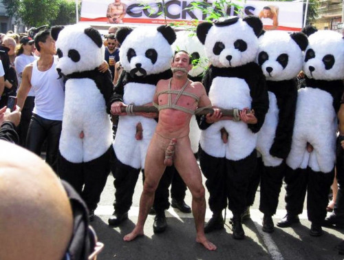Walk-with-panda.jpg