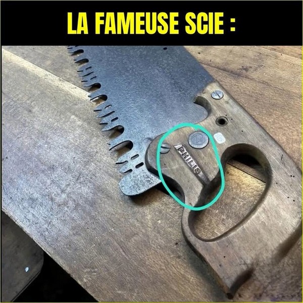 SCIE.jpg