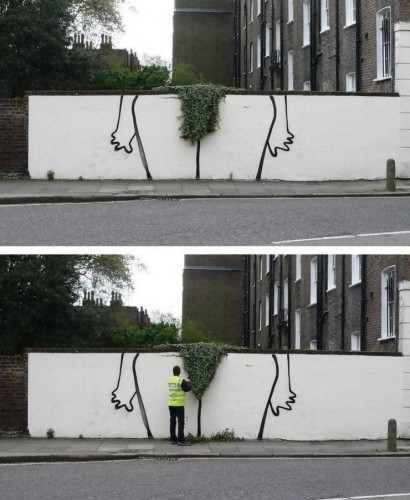 trim-bush.jpg