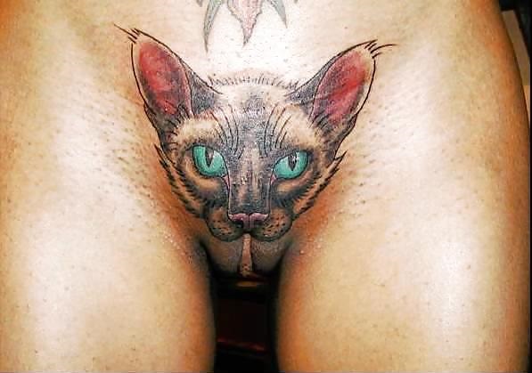 puussy.jpg