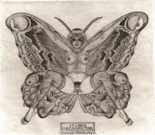 pussyfly.jpg