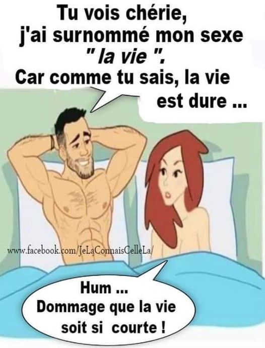 Courte.jpg