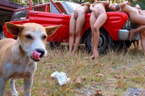 hungry-doggy.jpg