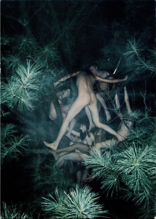 the-tree-people.jpg