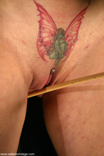 fairy-pussy.jpg