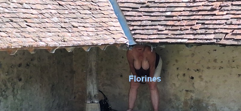 Seins.jpg