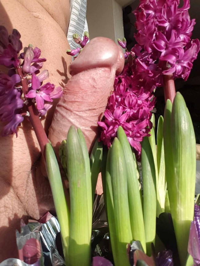 flower-dick.jpg